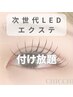  【NEW★導入キャンペーン】LED×フラットマットラッシュ付け放題¥6100