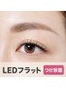 《濃さ・ボリューム重視の方に》LEDフラットラッシュ上つけ放題☆オフ無料
