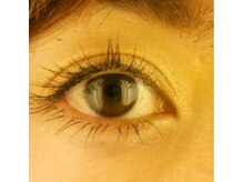 プチブラン(Petit Blanc)/上質ピュアスムーシュラッシュ