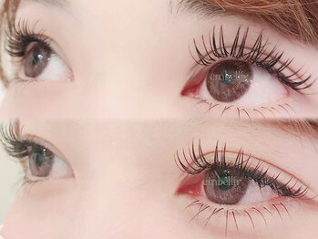 アンベリール(embellir)/＊フラットラッシュ上下つけ放題