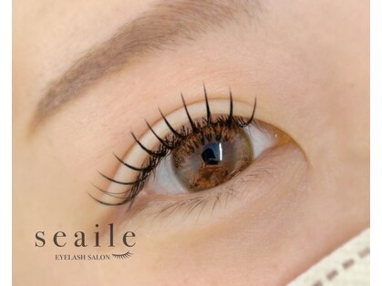 シール(seaile)の写真