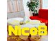 ニコエイト(Nico8)の写真