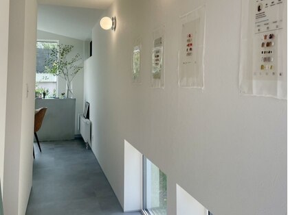 ハク(haku)の写真