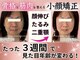 アンリエッタ(Unlieta)の写真