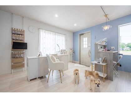 ネイル キッチン モモ(nail kitchen momo)の写真