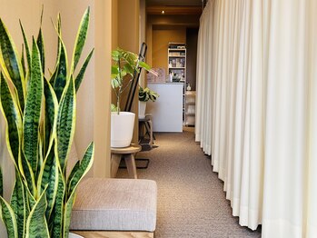 茶ノ木鍼灸整骨院/インディバ 鍼灸 マッサージ