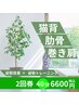 人気NO.2　猫背矯正/肋骨の歪み/巻き肩矯正　姿勢改善整体2回券　￥6600