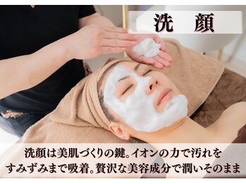 わ心美/フェイシャル/洗顔