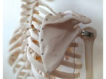からだケアサロン ぱるまの雰囲気（違和感や痛みの原因は他部位が原因かも。しっかり突き止めます！）