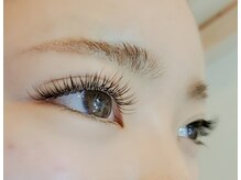 シェル 松戸(Shell)/シングルラッシュ　160本