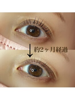 ボアップ(boappu)/まつ毛パーマ