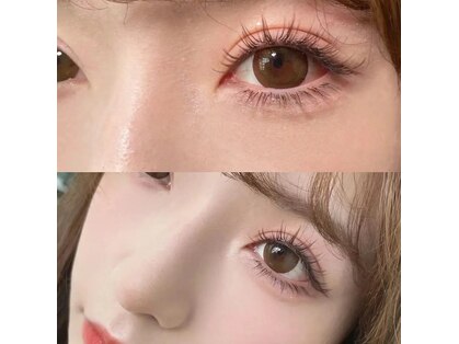 エル ヒヒ(L ヒヒ)の写真
