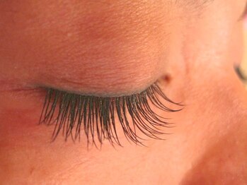 プライベートサロン　ファブール/まつ毛イメージ