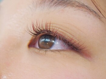 イロ 駒込店(iro)/カーキブラウン×ワインレッド