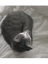 アマラ 日出店(AMARA) AMARA 福田