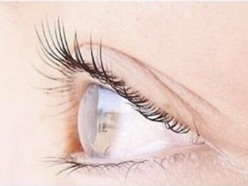 ミィア 両国店(Mia)の写真/イベントにもおススメ！理想の目元を叶えます♪パリジェンヌや束感デザインもお任せ♪印象が変わります☆