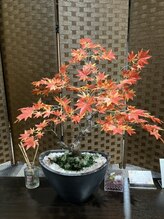 もみ治 もみ治 スタッフ1