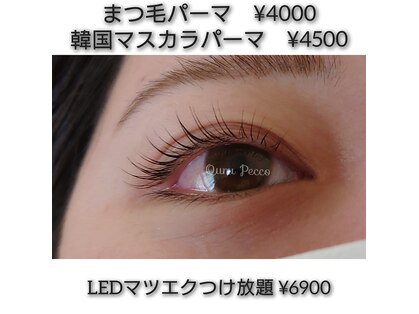 クルペッコ(Quru Pecco)の写真