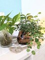 ココ(COCO)/オーナー