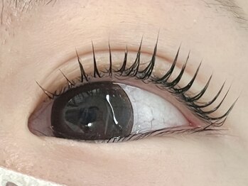 サロングレイス(Salon Grace)/マイスター