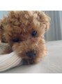 ホワイトラボ 名古屋栄(White labo)&nbsp;愛犬ちゃちゃまるくん＾＾お散歩大好き♪