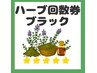 【お背中ハーブ&リフトアップマシン付き★ハーブピーリング】回数券