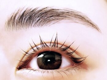 カーム(Calm)/HBL+ケラチンラッシュリフト上下