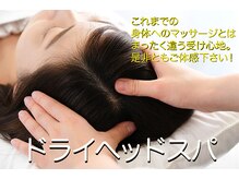 からだメンテナンスの雰囲気（脳ストレスの軽減と、良い睡眠を目指した頭皮をほぐす施術です。）
