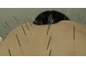 【本格鍼灸】しっかり鍼灸(70分前後) ≪ 初回1100円OFF ≫