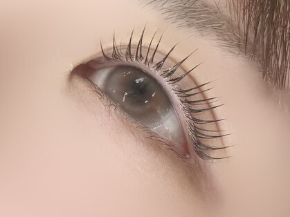 ルルプリュム(Lulu Plume)の写真