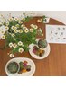 【学割U24】ビオスチーム(よもぎ蒸しの進化版)60分♪特別価格でご案内◎