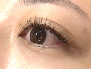 ウルカ アイラッシュ(uruka EYELASH)/フラットラッシュ　140本