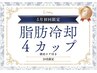 【5月限定】★脂肪冷却4カップ★分解導入付!腰肉☆腕脇ハミ肉☆太もも