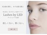 2回目LEDフラット１００本（オフ&シャンプー＆コーティング込）¥6800