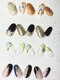 ネイルアンドアイラッシュ グレース 芦屋店(nail&eyelash Grace)の写真/【芦屋駅すぐ】丁寧なオフ+ケア付☆イベントや気分に合わせた上品で可愛いネイルで気分もUP☆