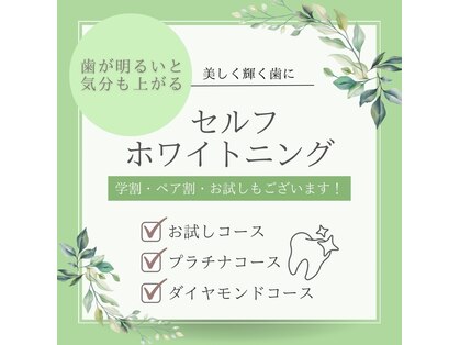 ケーナイン(K-9)の写真
