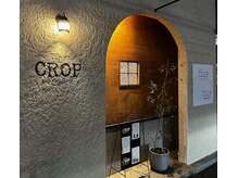 シエルビューティークロップ(Ciel Beauty CROP)