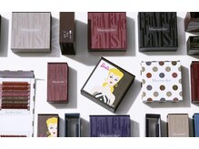 エシレ(ECHIRE)/根本からしっかり立ち上げ