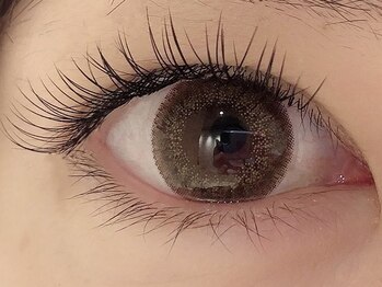 カラン 焼津店(CALIN)/フラットラッシュ120本