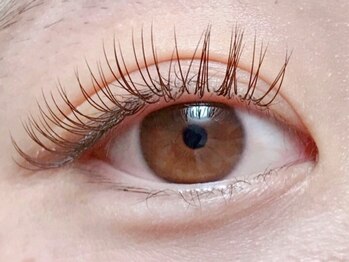 エイミ 小岩店(Eimi)の写真/『モチ良し×リーズナブル』と高満足度◎【高級セーブル¥6500/フラットラッシュ¥7000】