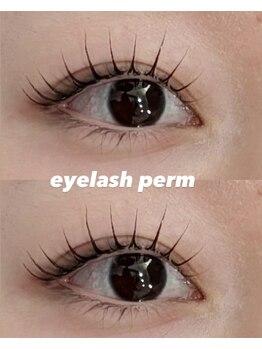 シーン スタジオ 川崎店(SSIN STUDIO)/eyelash perm