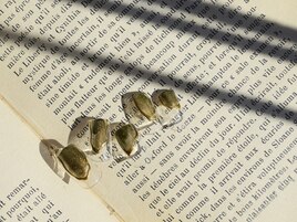 4月select(J)5,980円/全10種