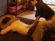 コモレビ(komorebi)の写真/「しっかりじんわり身体を温めて緩める、インディバ×マッサージが最上級に心地良い♪」