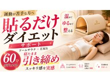ビジュアルラボ(VISUAL LABO)/貼るだけダイエットサポート