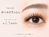 ≪まつ毛≫【ホールドラッシュ】フラットの約1.5倍長持ち/60束120本/オフ無料