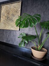 オリーヴァ 大船/≪木々のぬくもり≫