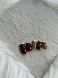 11月定額コース