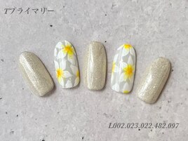 ハンド定額プライマリーコース