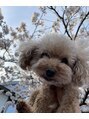 美容整体ウェリナ あま甚目寺院&nbsp;動物はいぬ大好きです！愛犬やペットお話聞かせてください！