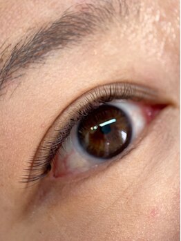 ムニ(muni)/ボリュームラッシュ80束